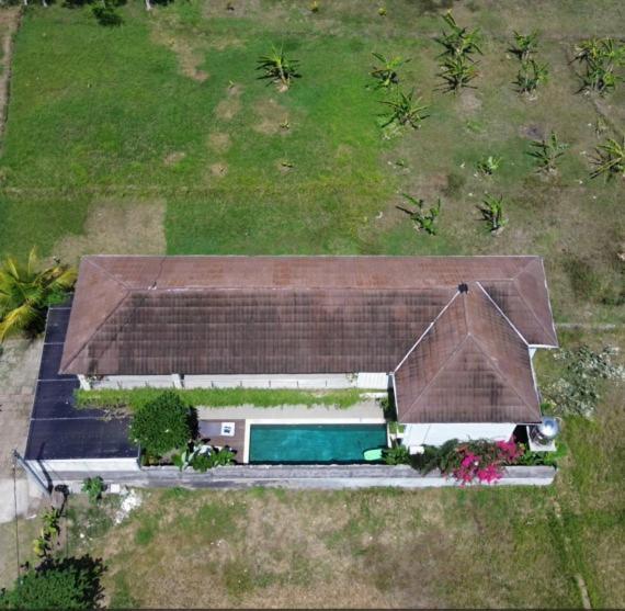 Three Palms Surf & Stay Medewi Airsatang Eksteriør billede